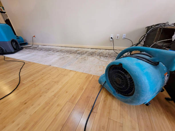 Professional Flood Damage Cleanup technician working in Maiden Rock, WI